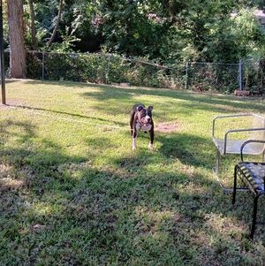 Meet your Posher, Steven